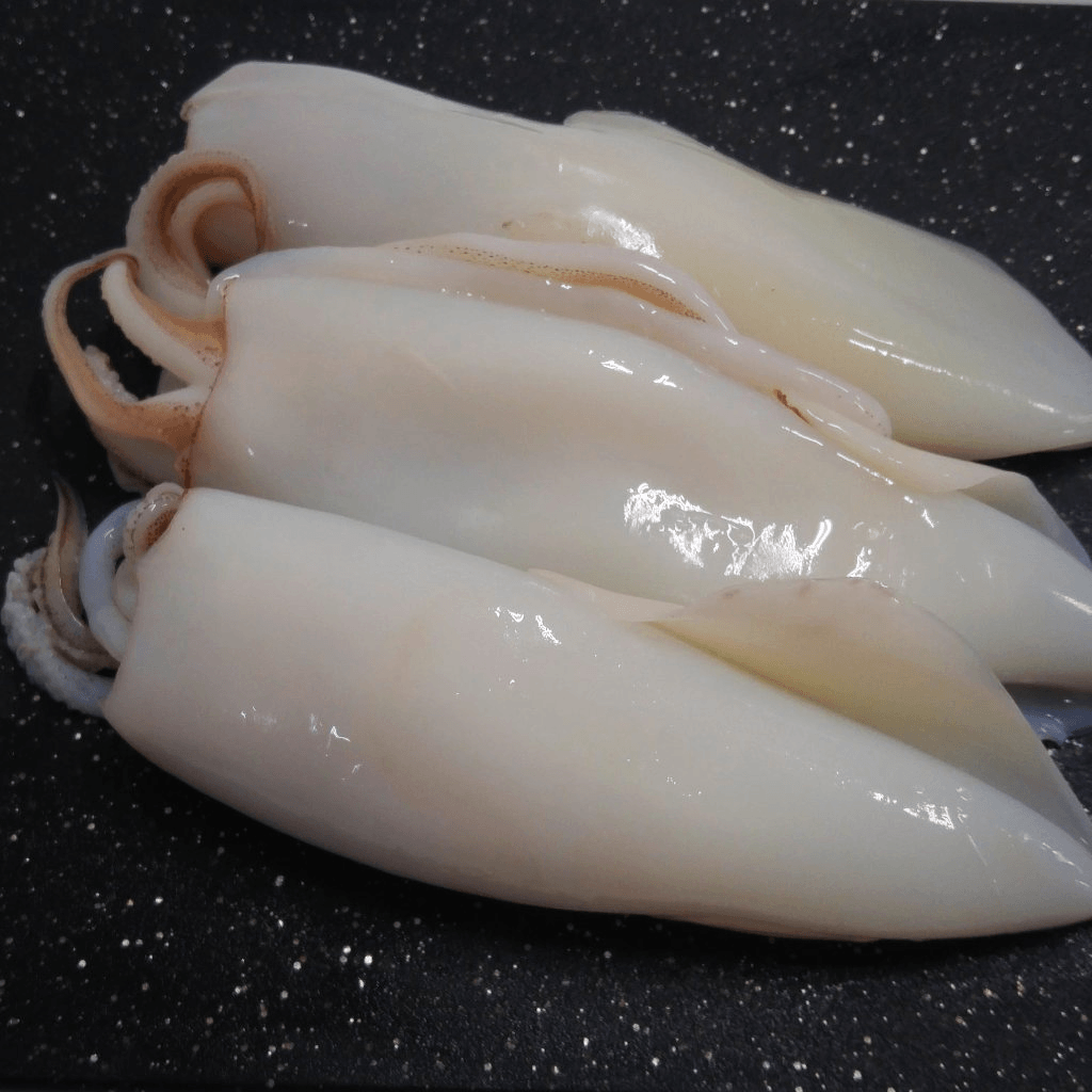 Frozen Cleaned Squid Supplier