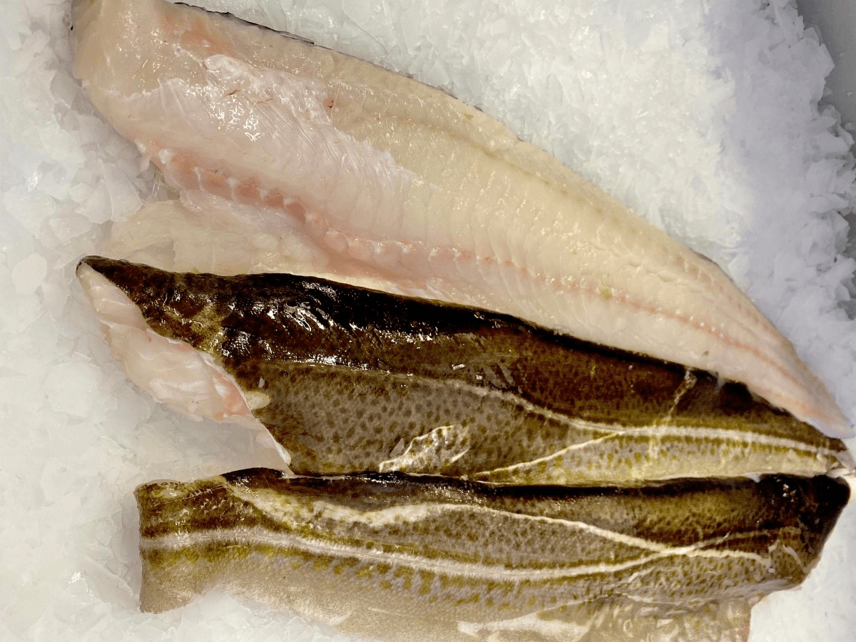 Cod Fillets supplier