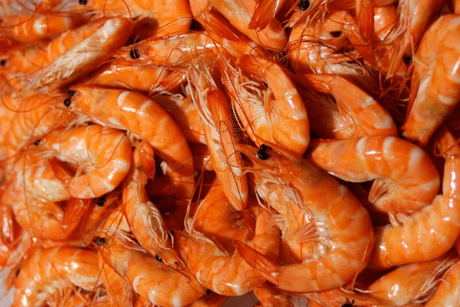 European Prawns suppliers