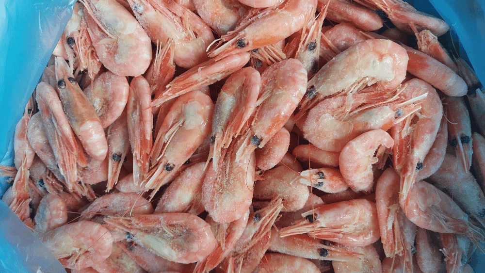 Frozen Norwegian Shrimp for sale