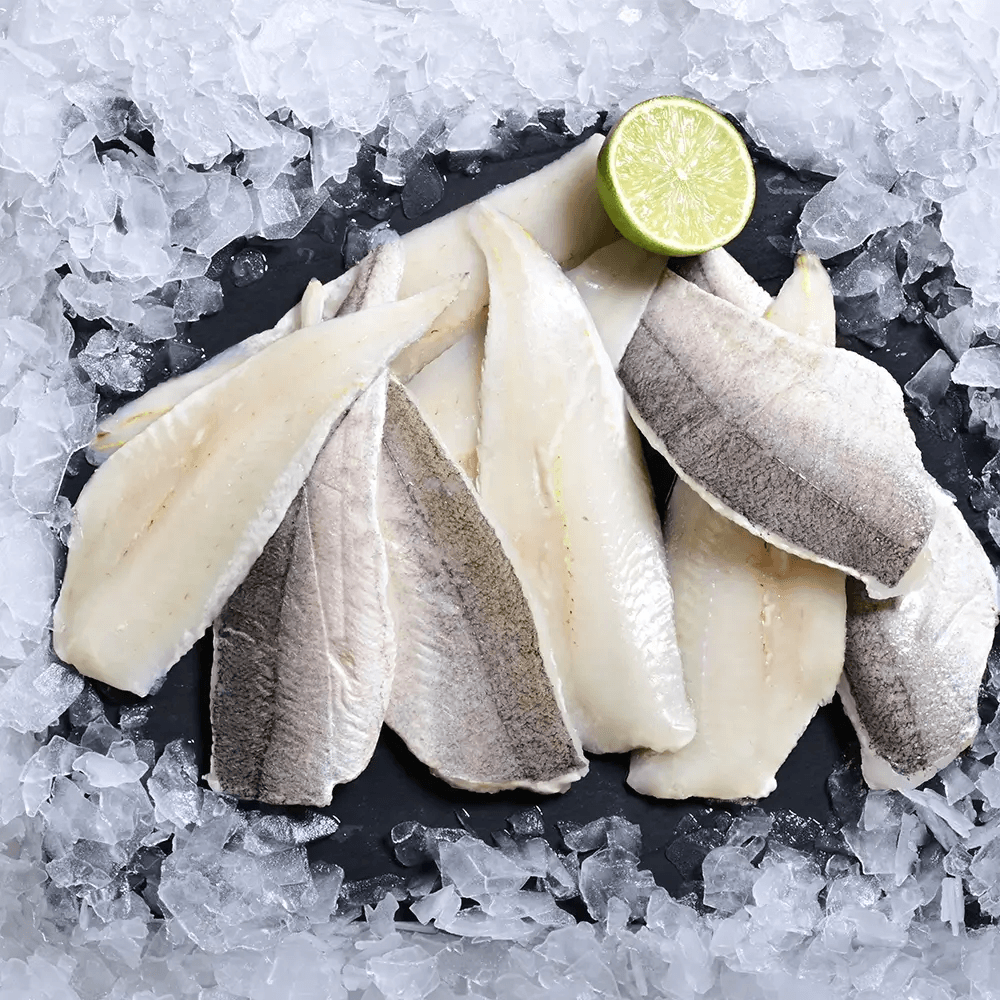 Hake Fillets Supplier