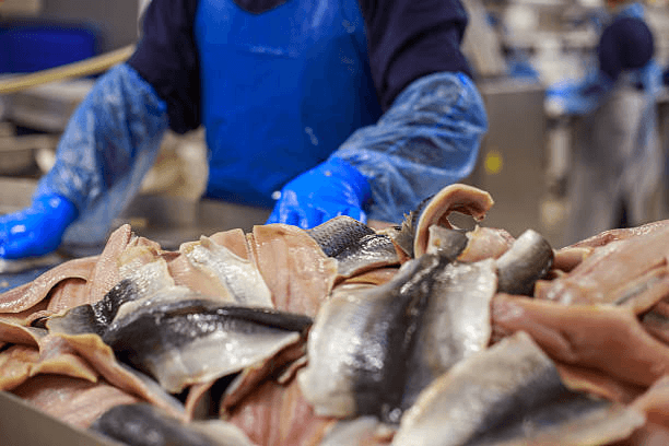 Norwegian Seafood Exporter