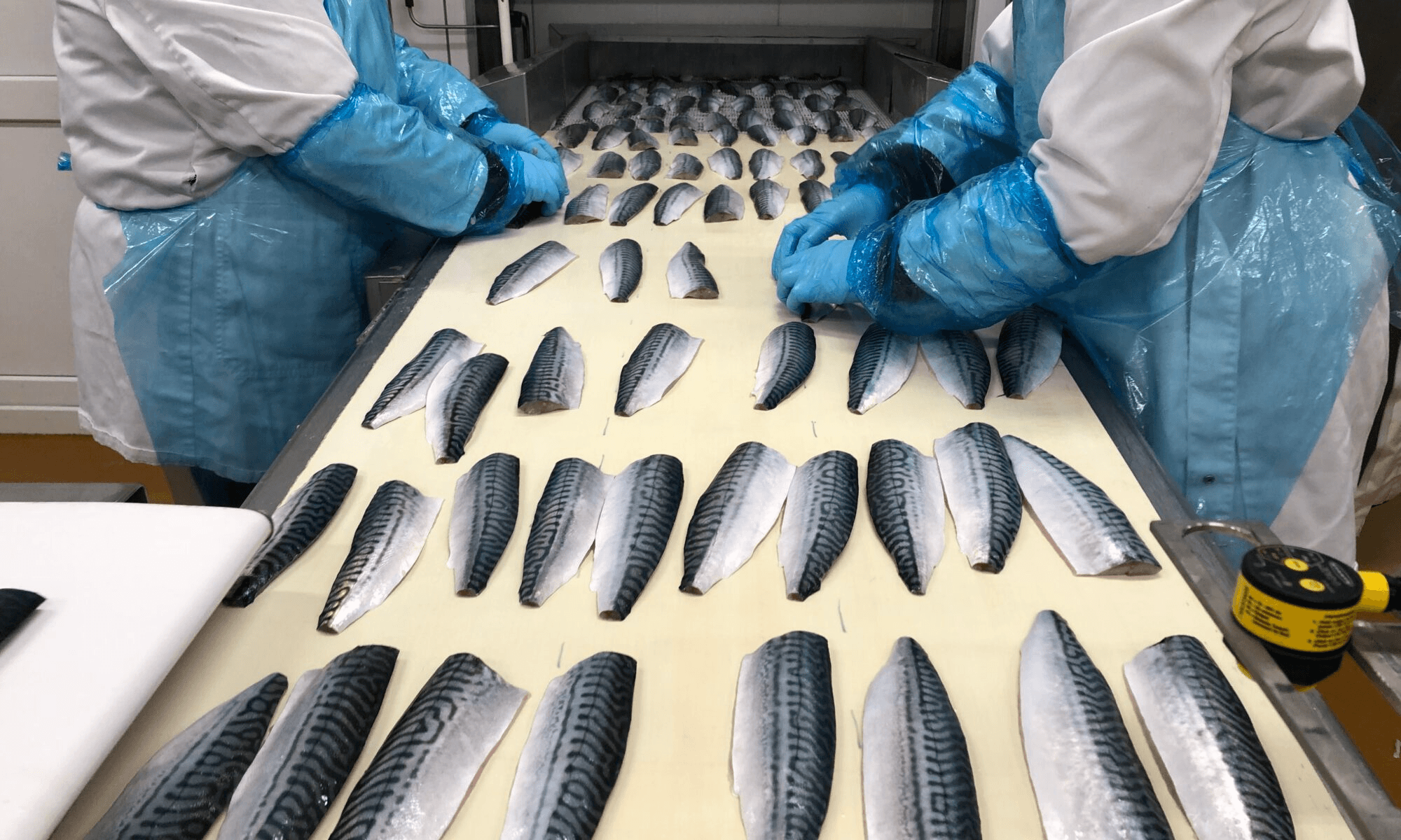 Norwegian Seafood Quality