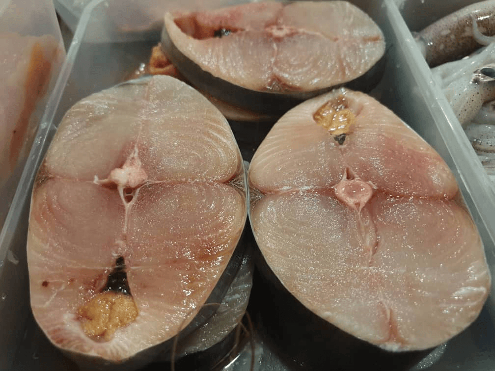 Round Mackerel Supplier