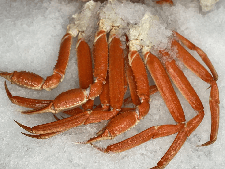 Snow Crab Legs for sale in Bulk