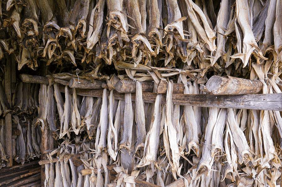 Buy stockfish from Norway
