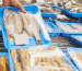 Norwegian seafood export